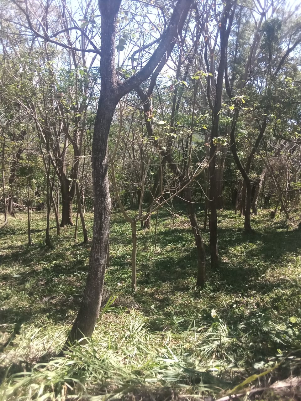 ALTOS DE MARIA TERRENO EN VENTA