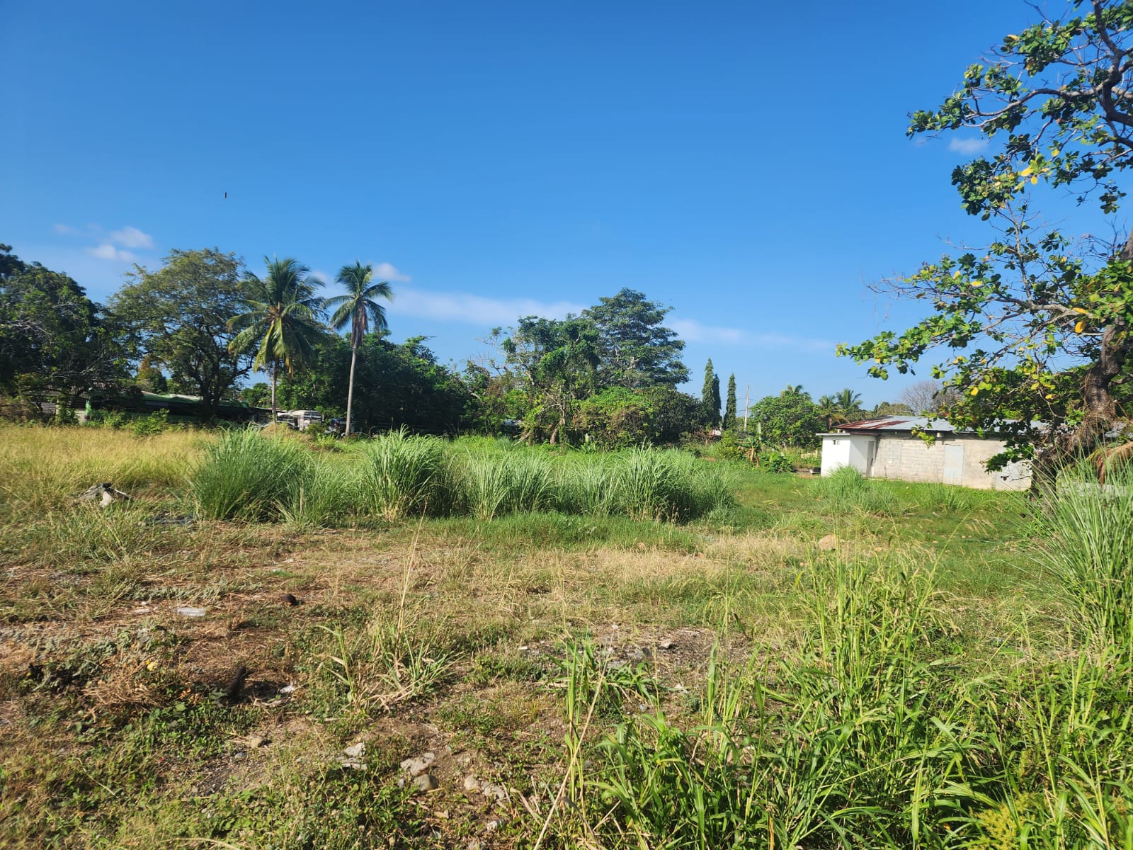 TERRENO EN PACORA