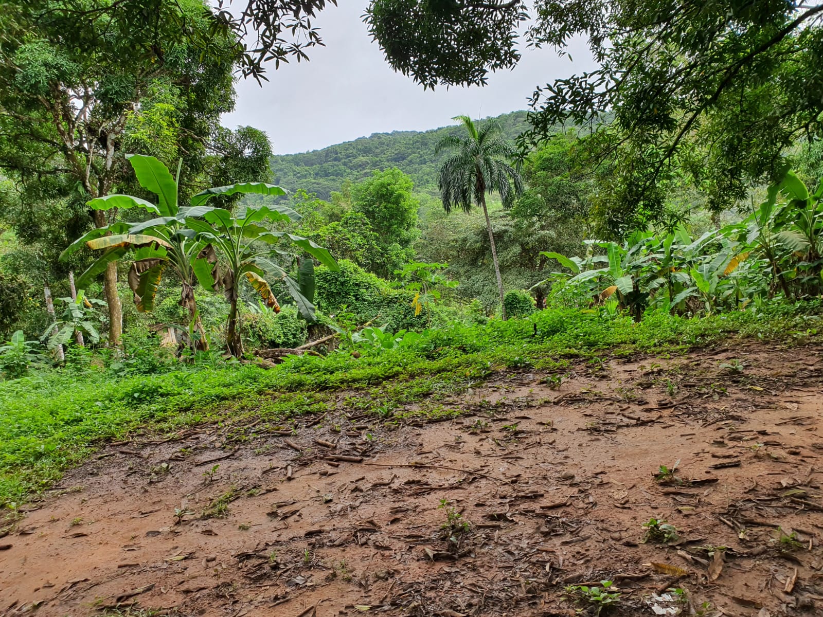Terreno Altos de Campestre