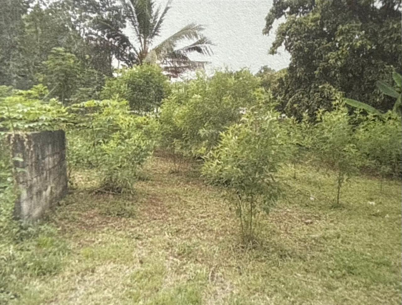 Inmueble Provincia de Panamá, corregimiento de Pacora